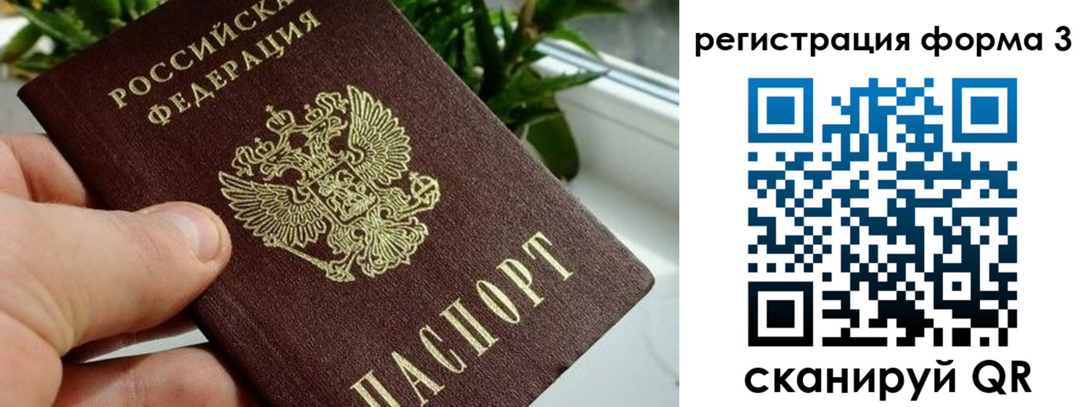 прописка штамп в Зернограде